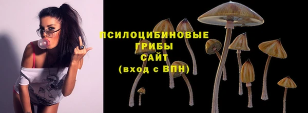 МДПВ Абдулино