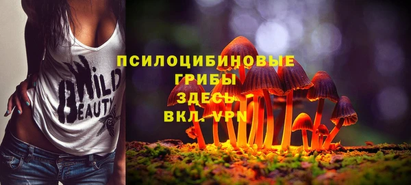 трава Медвежьегорск